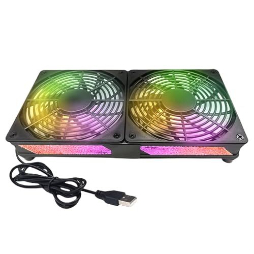 Black color light double fan