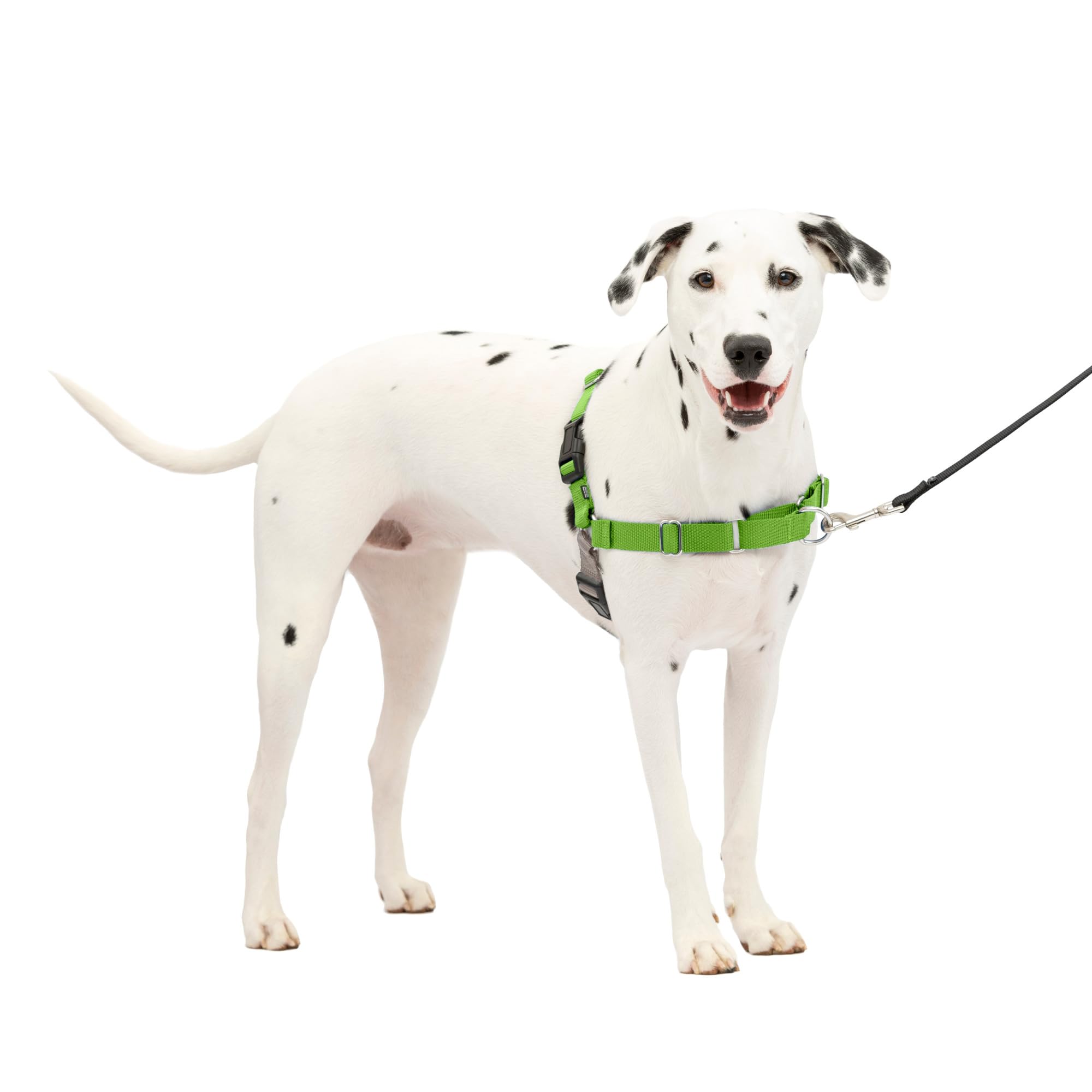 PetSafe Easy Walk No-Pull Dog Harness for Medium/Large Dogs - Stop Pulling & Improve Leash Training - Comfortable Apple Green/Gray Harness for Walking, Hiking & Outdoor Adventures