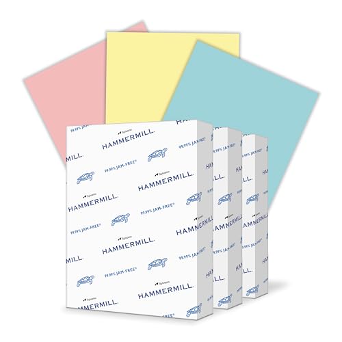 Assorted-Pink,Canary,Blue