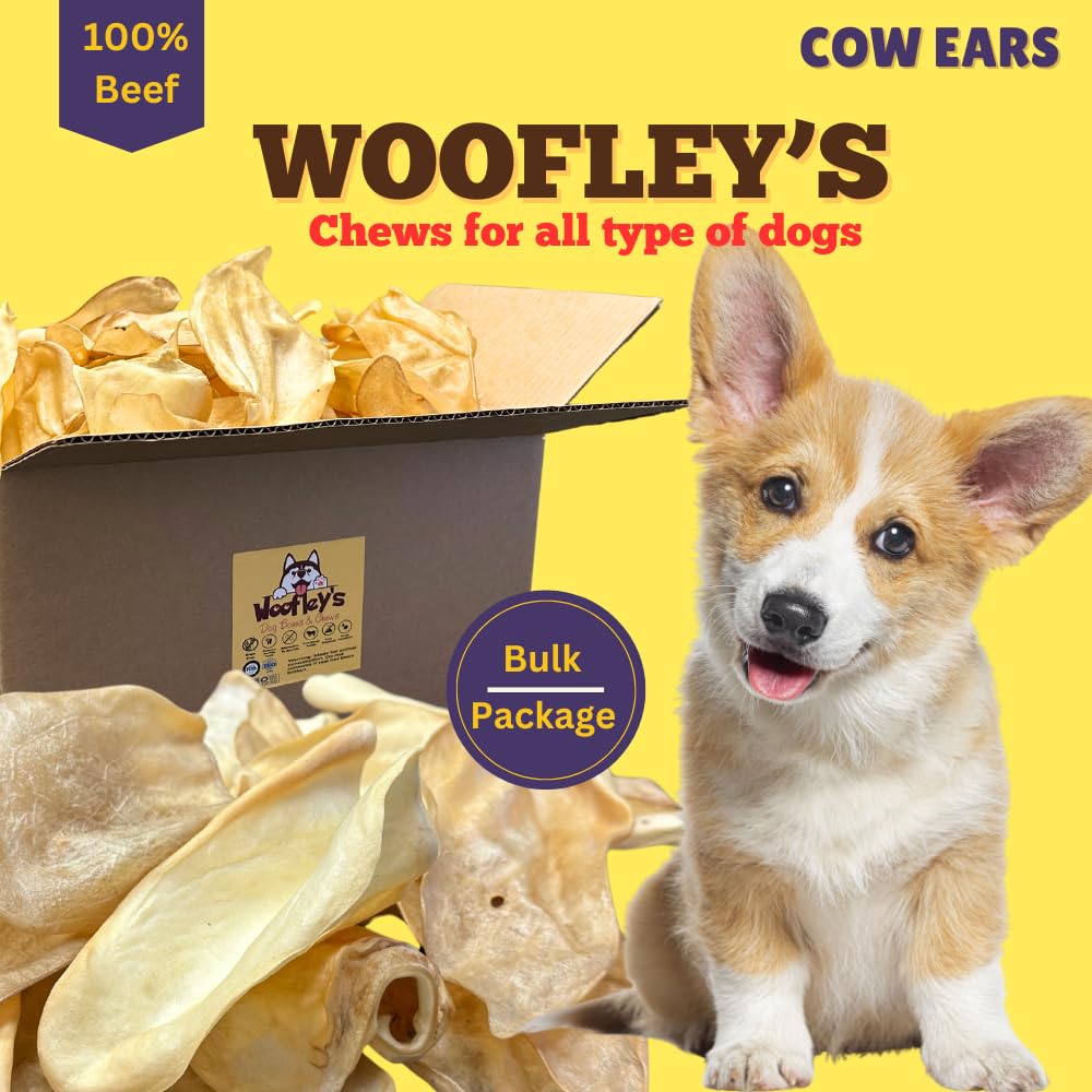 Woofley's Natural White Cow Ears Dog Chews - 100 Count All-Natural Beef & Buffalo Hide-Free Treats - Perfect for Training, Dental Health & Long-Lasting Chewing