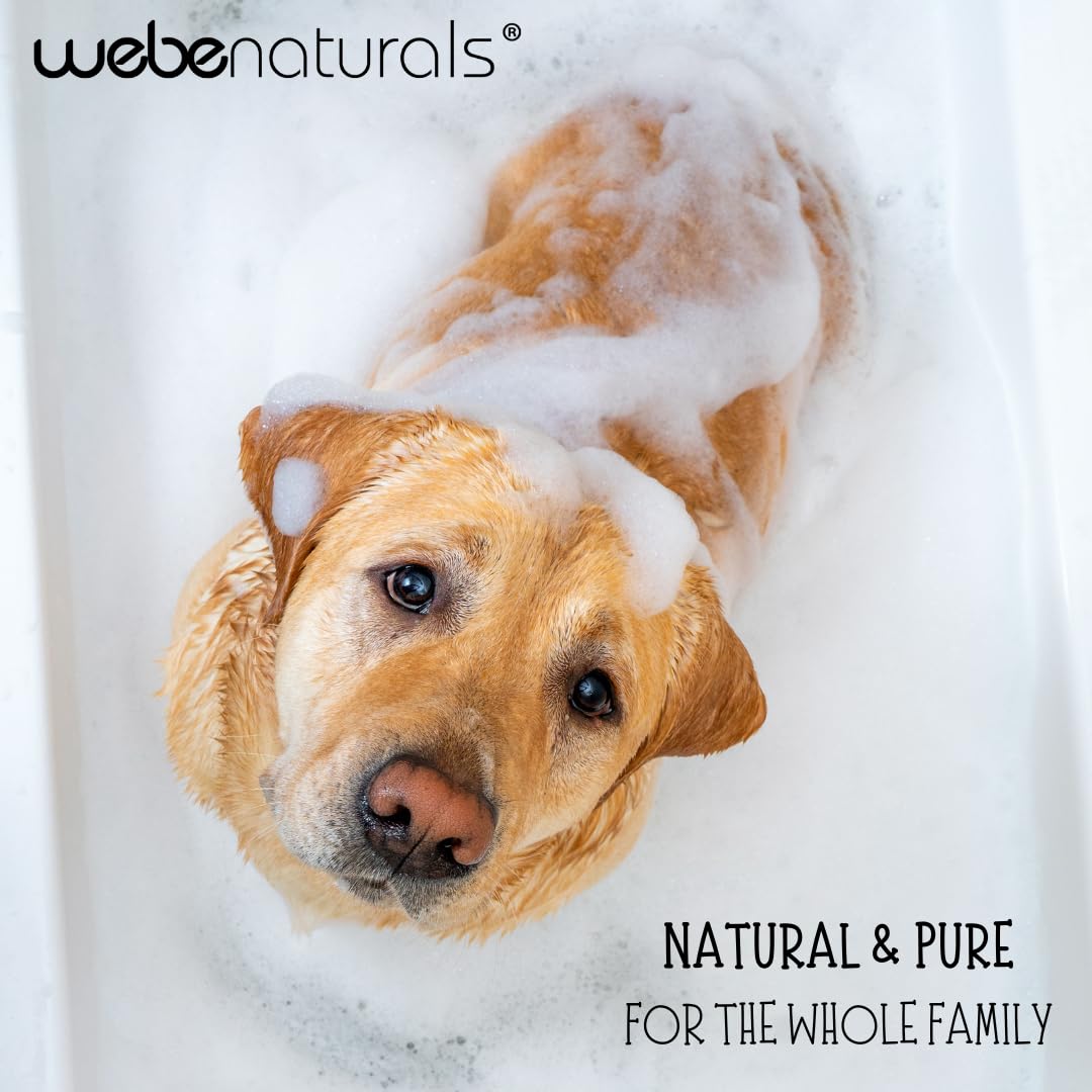WEBE Pure Unscented Castile Liquid Soap Refill, 64 Ounce | Vegan, Gluten Free, Non-GMO, Cruelty Free | For Face, Body Wash, Dishes, Pets & Laundry | Perfect for Home, Travel & Eco-Friendly Cleaning