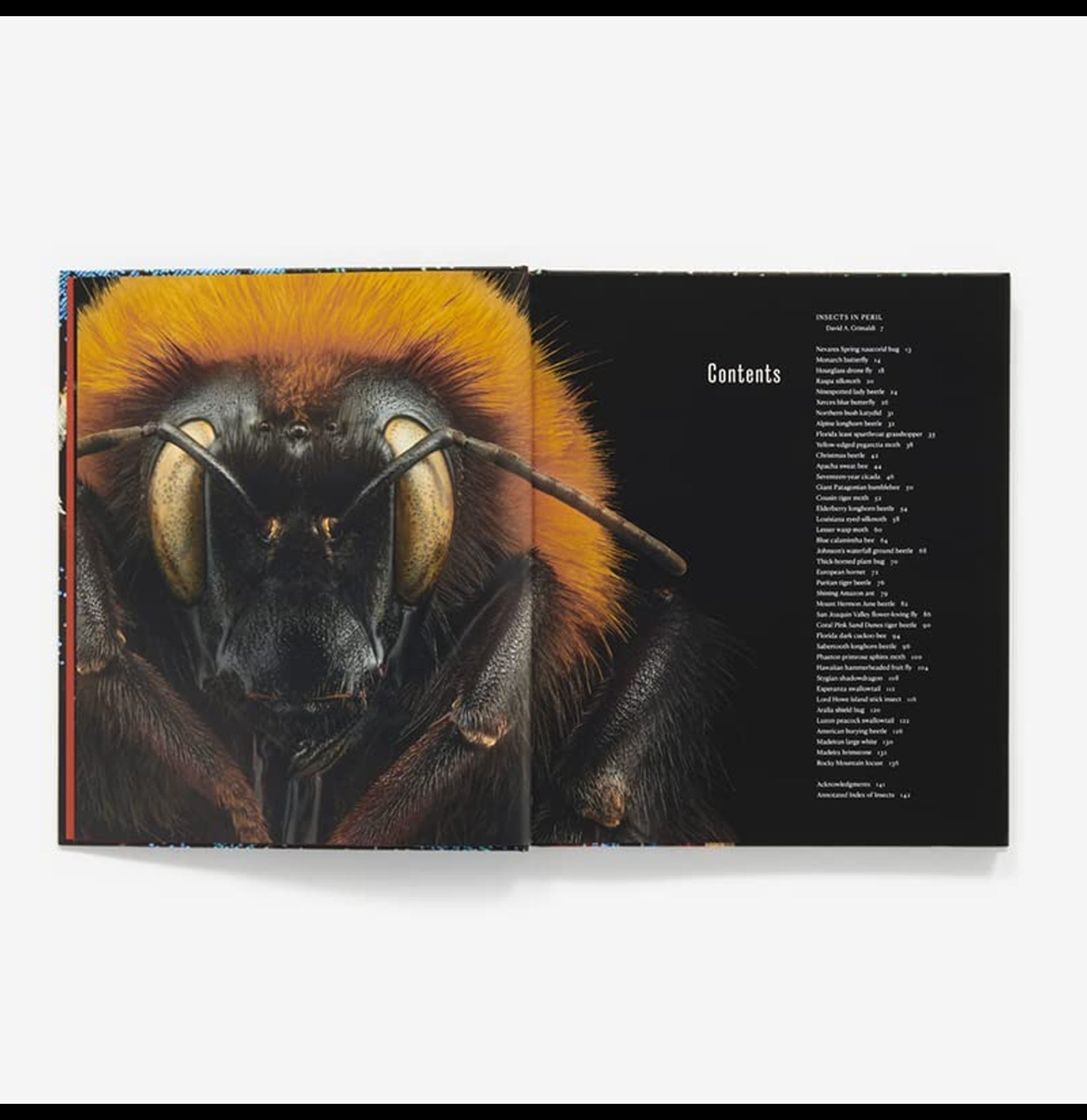 Extinct & Endangered Insects in Peril - Rare Bug Species Collection for Education & Conservation - Perfect for Science Classrooms, Nature Museums & Wildlife Preservation Projects