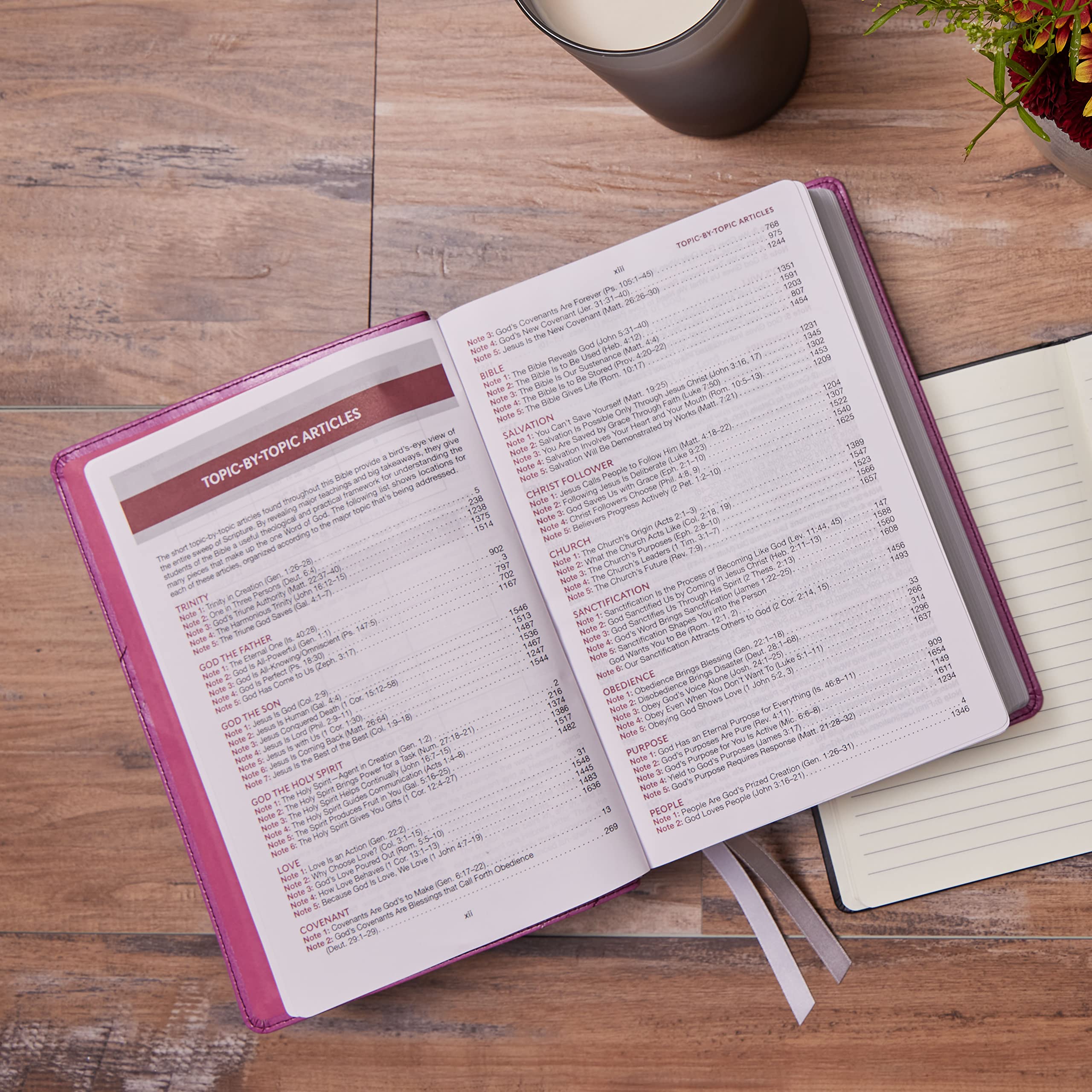 KJV Word Study Reference Bible - Leathersoft Brown Cover, Red Letter Edition with Thumb Index & Comfort Print - 2,000 Keywords for Biblical Understanding | Perfect for Bible Study, Sermon Preparation & Personal Devotion