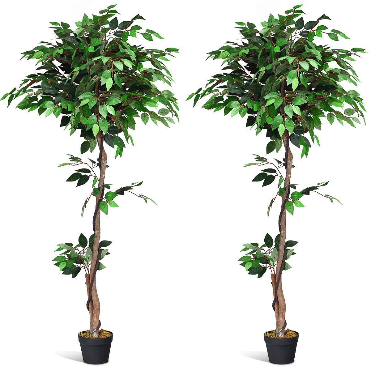 5.5ft Artificial Ficus Tree Set of 2 - Realistic Fake Indoor Outdoor Plants in Decorative Pots - Home Office Modern Decor with Natural Trunk & Leaves - Perfect for Living Room, Patio, or Workspace Decorating
