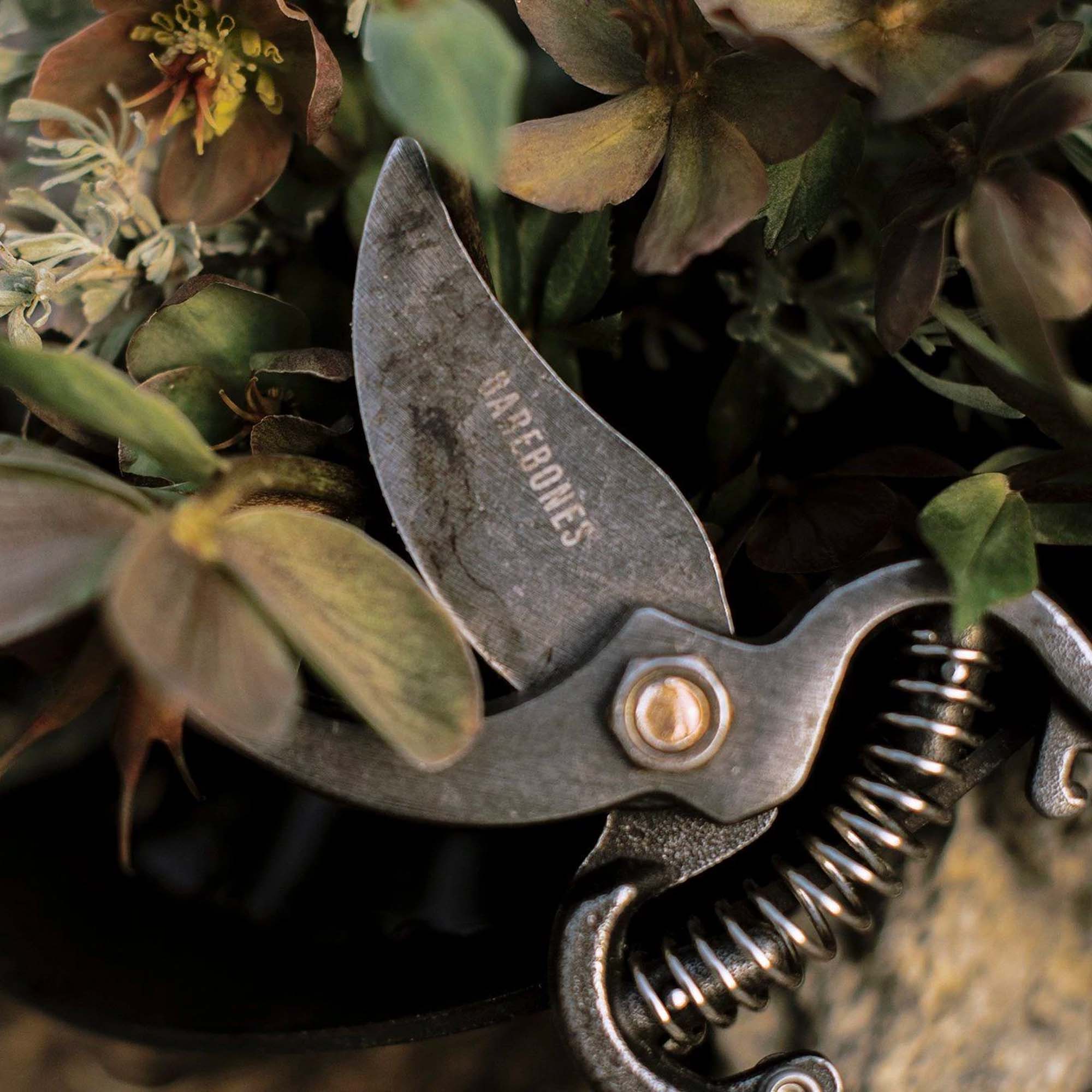 Professional Garden Pruner - High Precision Bypass Pruning Shears for Trees, Shrubs, and Plants | Perfect for Gardening, Landscaping, and Outdoor Maintenance
