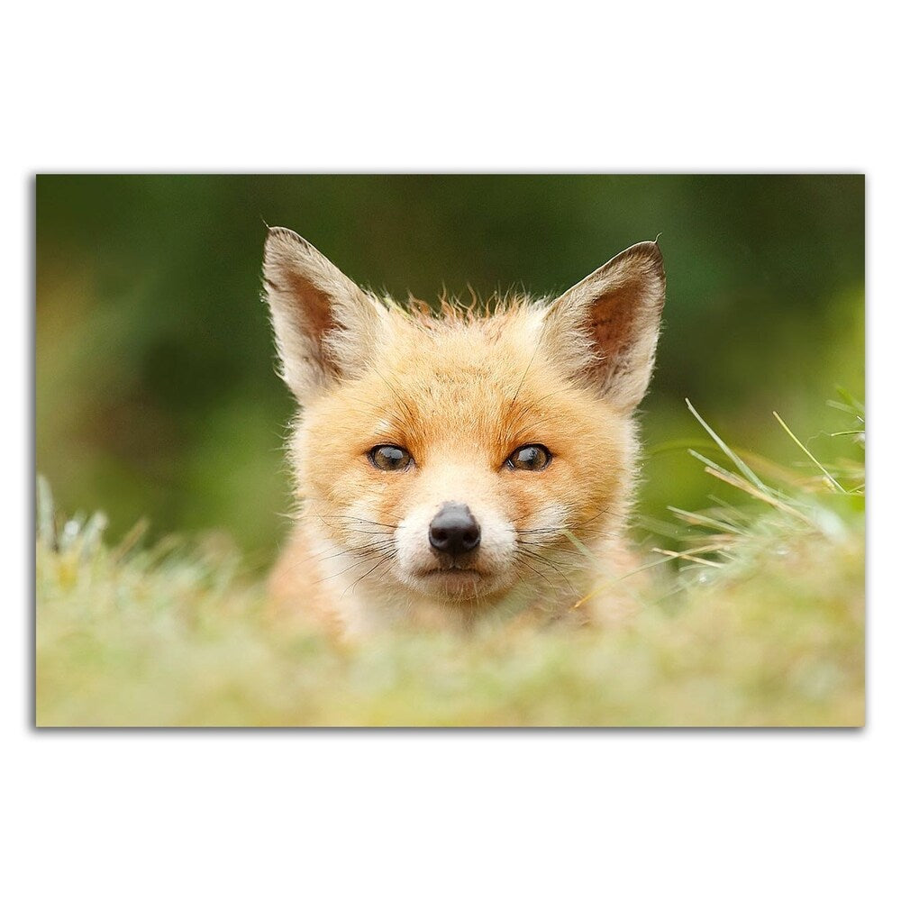 Bad Fur Day by Roeselien Raimond - Premium Canvas Art Print - Ready to Hang Wall Decor - Perfect for Living Room, Bedroom or Office