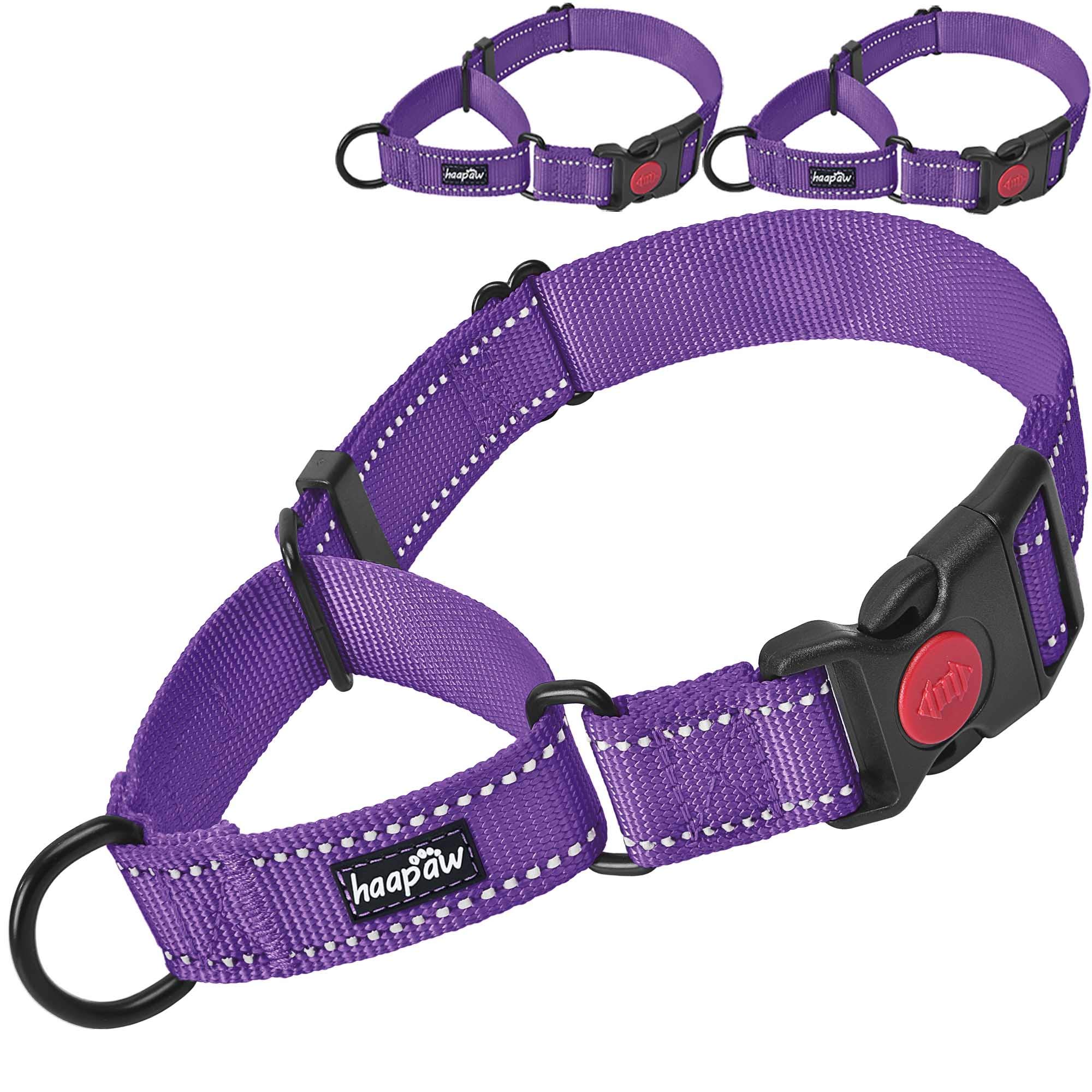 Haapaw 2-Pack Martingale Dog Collar with Quick Release Buckle & Reflective Strips - Adjustable Training Collar for Small, Medium & Large Dogs (Medium, Purple) - Perfect for Night Walks, Obedience Training & Daily Use