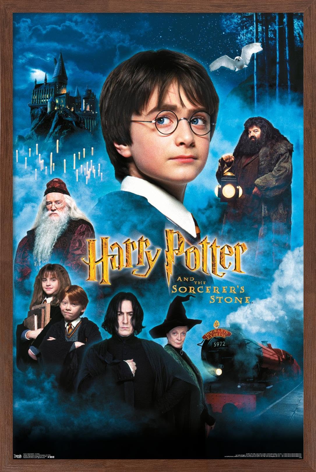 Trends International Harry Potter and the Sorcerer's Stone Movie Poster - 22.375x34 Inch Mahogany Framed Wall Art for Home Theater, Bedroom Decor, and Gift Ideas