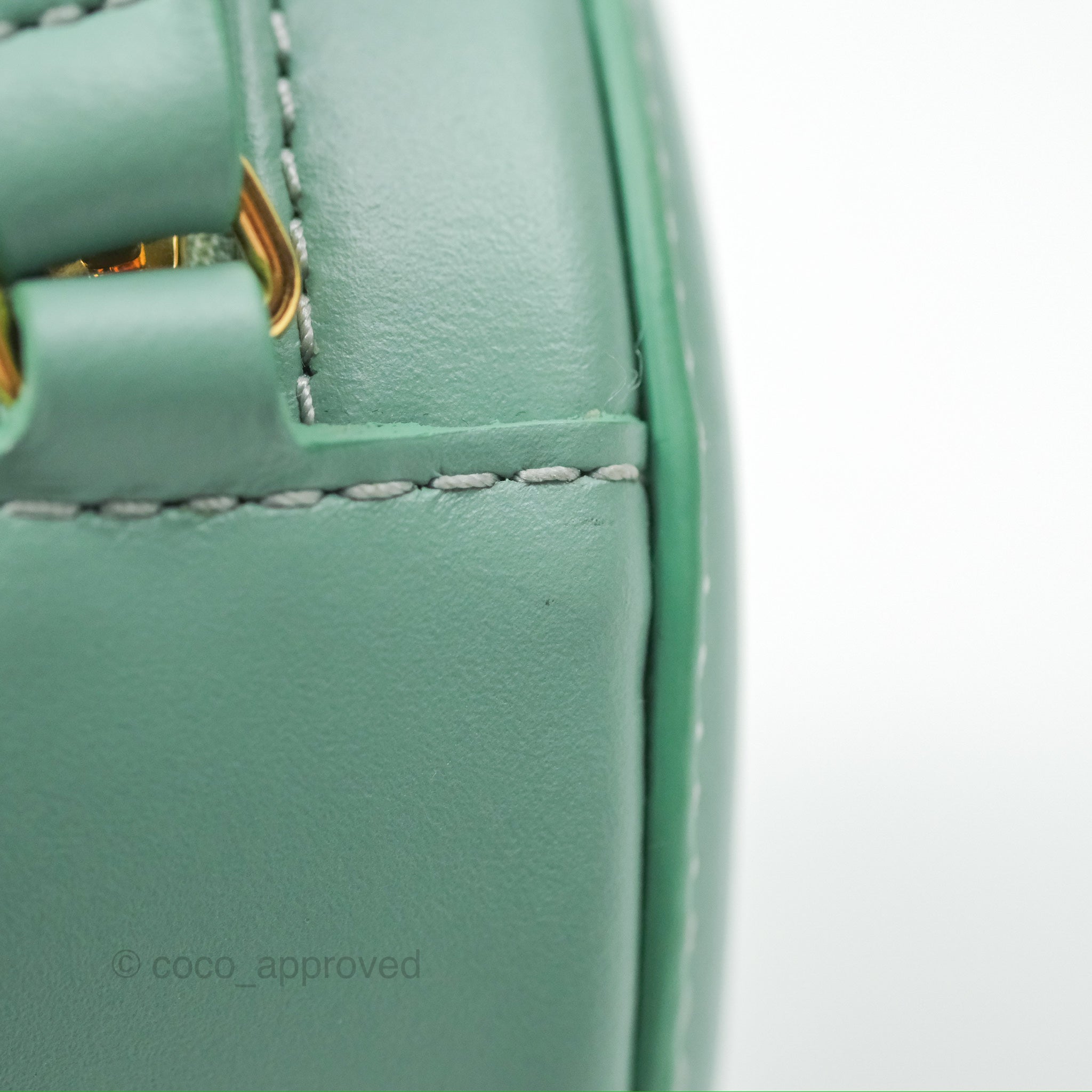 Celine Oval Bag Triomphe in Ice Mint Calfskin Leather - Luxury Crossbody Purse for Women, Perfect for Date Night & Evening Events