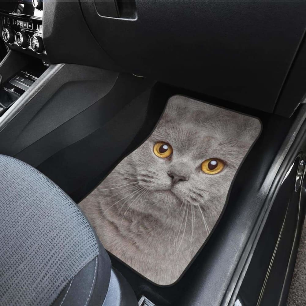 British Shorthair Cat Car Floor Mats - Funny Cat Face Design Non-Slip Auto Accessories for Pet Lovers | Perfect for Sedans, SUVs & Trucks