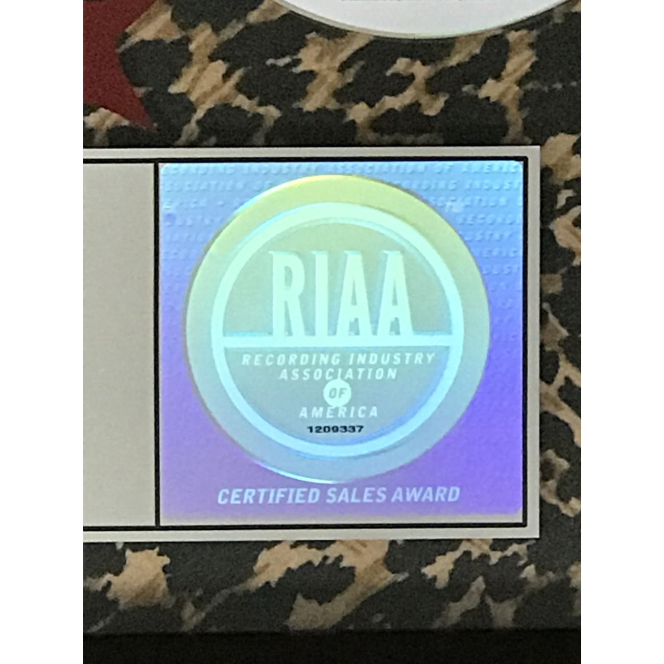 Disney 'The Cheetah Girls' Raven Symoné RIAA Platinum Album Award - Official Music Collectible for Fans & Display - Perfect for Home Decor, Gift for Music Lovers