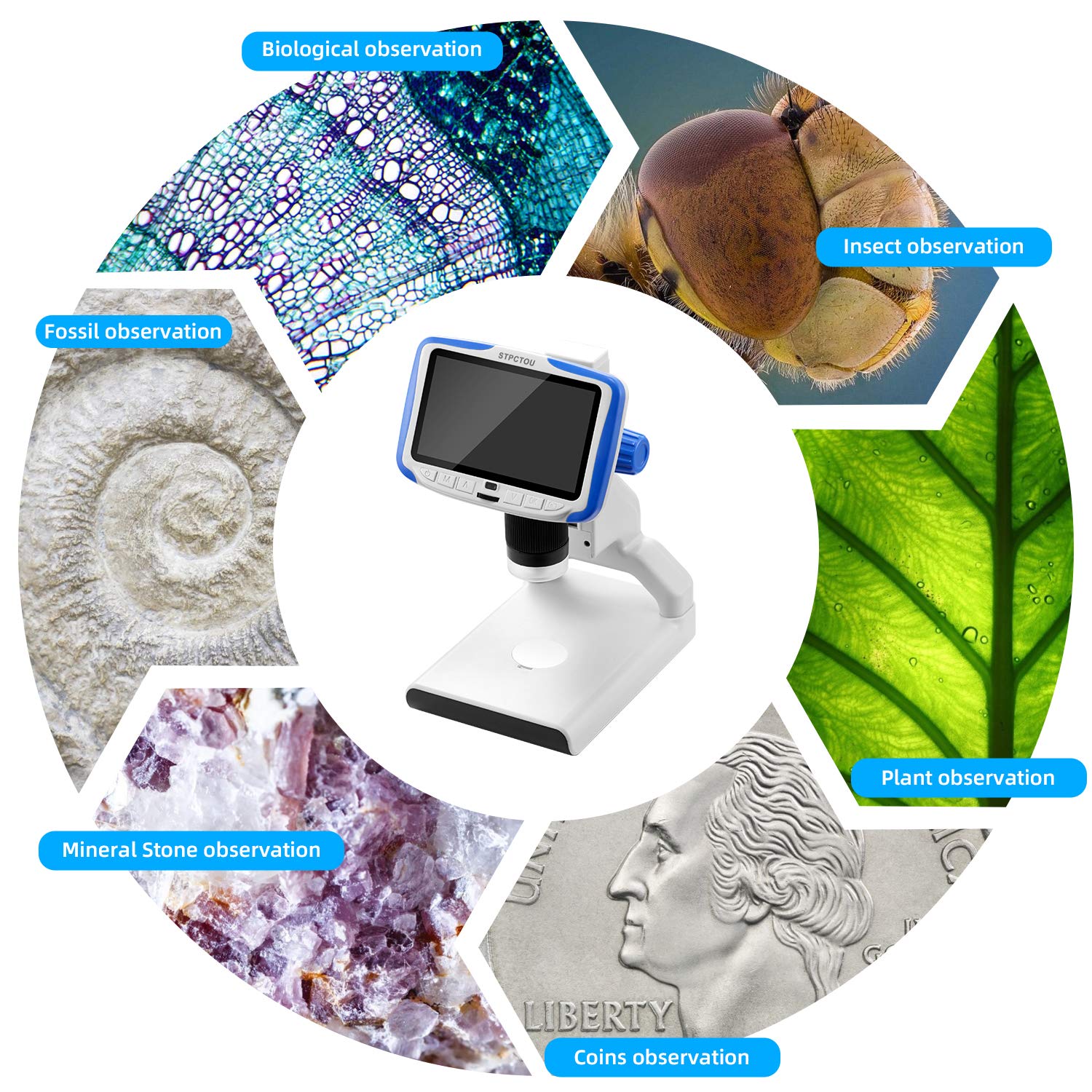 5 Inch FHD LCD Digital Microscope with 200X Magnification - USB Coin Microscope for Kids & Adults, 1920x1080 Video Recorder, Includes Base Light & Sample Slides - Perfect for Science Labs, Education, Coin Collecting & Hobby Exploration