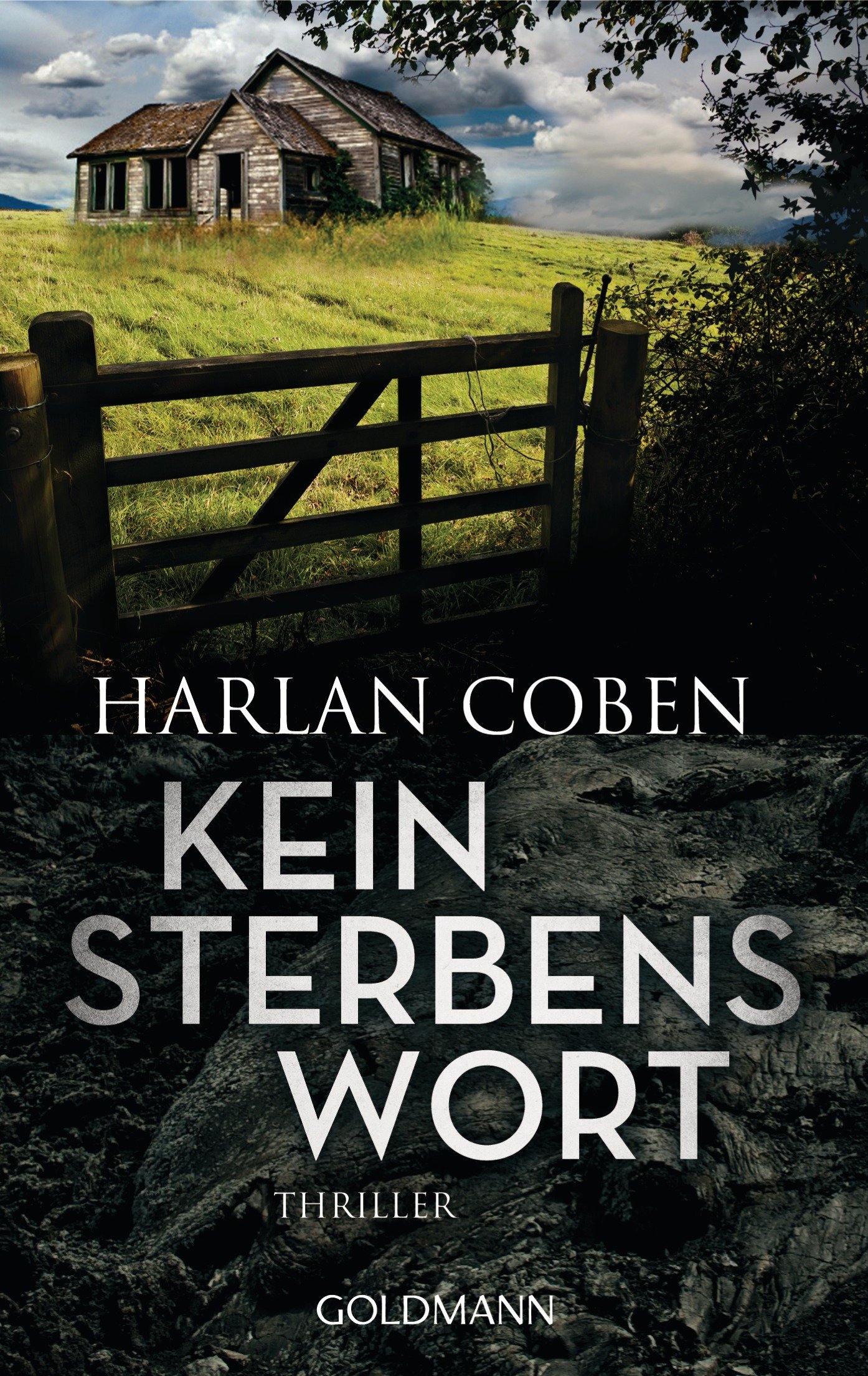 Kein Sterbenswort: A Gripping Psychological Thriller Novel - Perfect for Mystery Lovers & Book Club Discussions