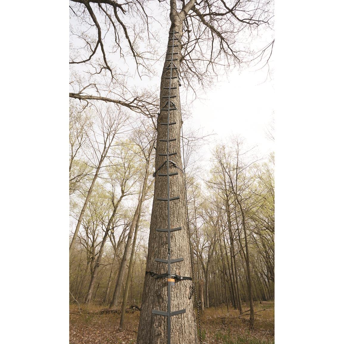 Guide Gear Full Step Climbing Stick Ladder for Tree Stands - 25' Lightweight Aluminum Hunting Ladder for Deer Hunting, Tree Stand Accessories & Outdoor Climbing | Perfect for Hunting, Wildlife Observation & Tree Stand Setup