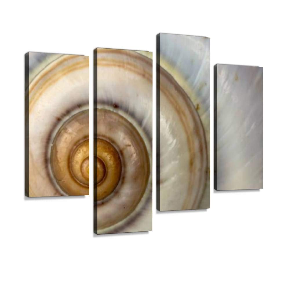 IGOONE 4 Panels Canvas Wall Art - Golden Ratio Sea Snail Shell on Beach Sand Close Up - Modern Framed Ready to Hang Paintings for Living Room, Bedroom & Office Decor - Perfect for Coastal, Beach House or Nature Inspired Interior Design
