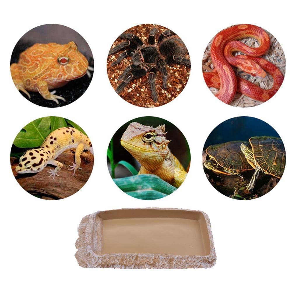 UJEAVETTE Reptile Feeding Bowl - Creamy White NS-14 for Food & Water - Perfect for Terrariums