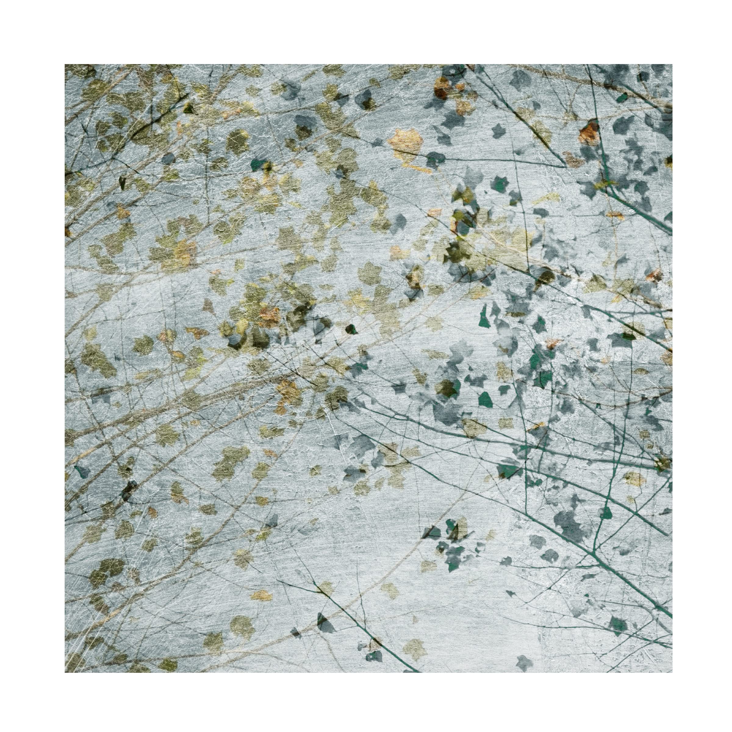 Sharon Chandler 'Seasonal Transition II' Canvas Wall Art - Handmade Landscape Painting for Living Room, Bedroom & Office Decor