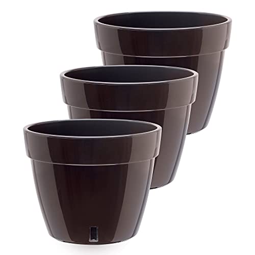 Black-gold/Black - Set of 3