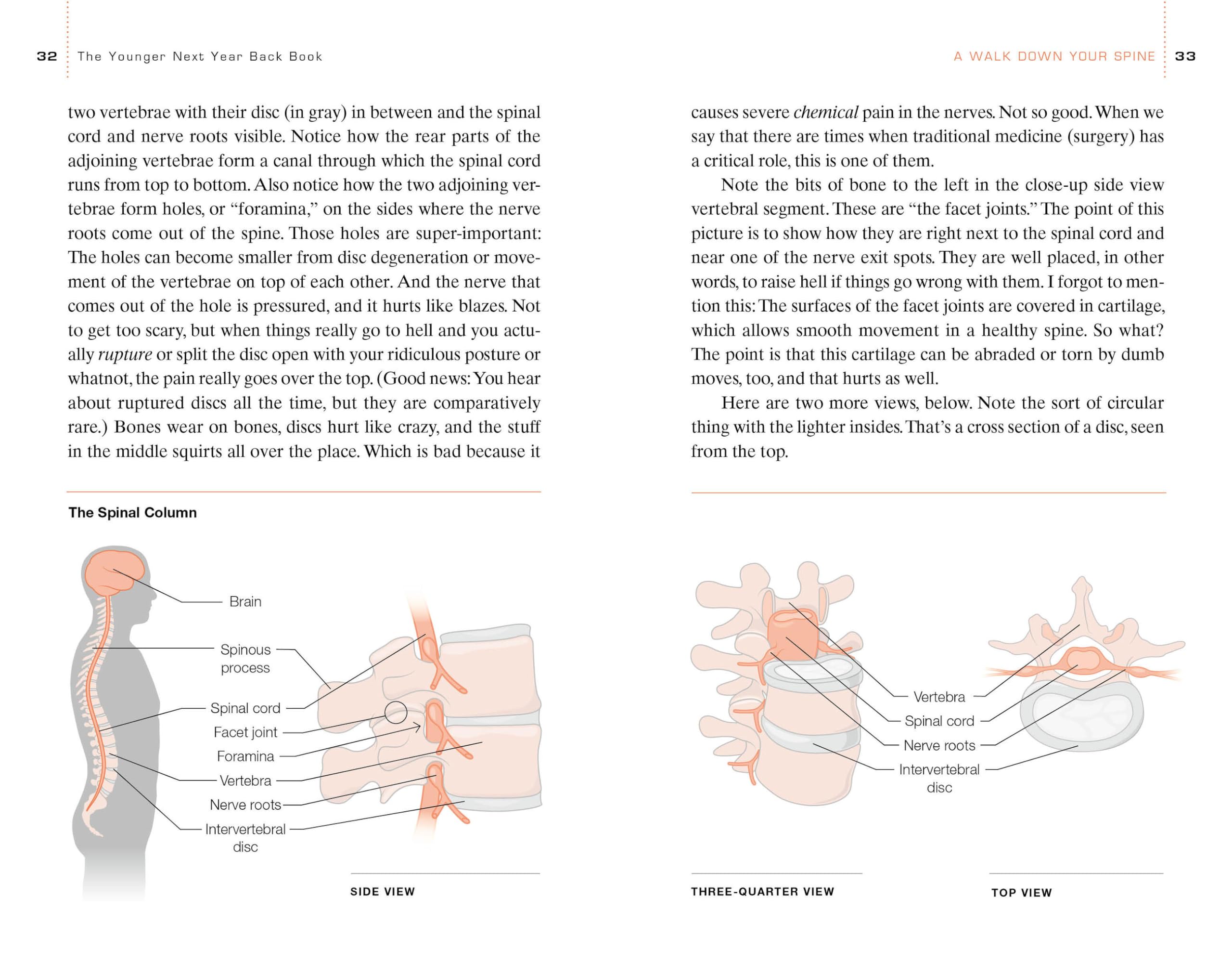 The Younger Next Year Back Book: Whole-Body Plan to Conquer Chronic Back Pain Naturally - Perfect for Office Workers, Athletes & Seniors Seeking Long-Term Relief