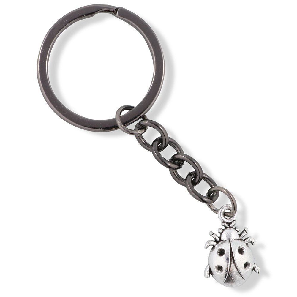 Emerald Park Jewelry Silver Ladybug Charm Keychain - Small Cute Bug Pendant for Women, Perfect Gift for Birthday & Friendship - Use for Keys, Bags, Backpacks or as Fashion Accessory