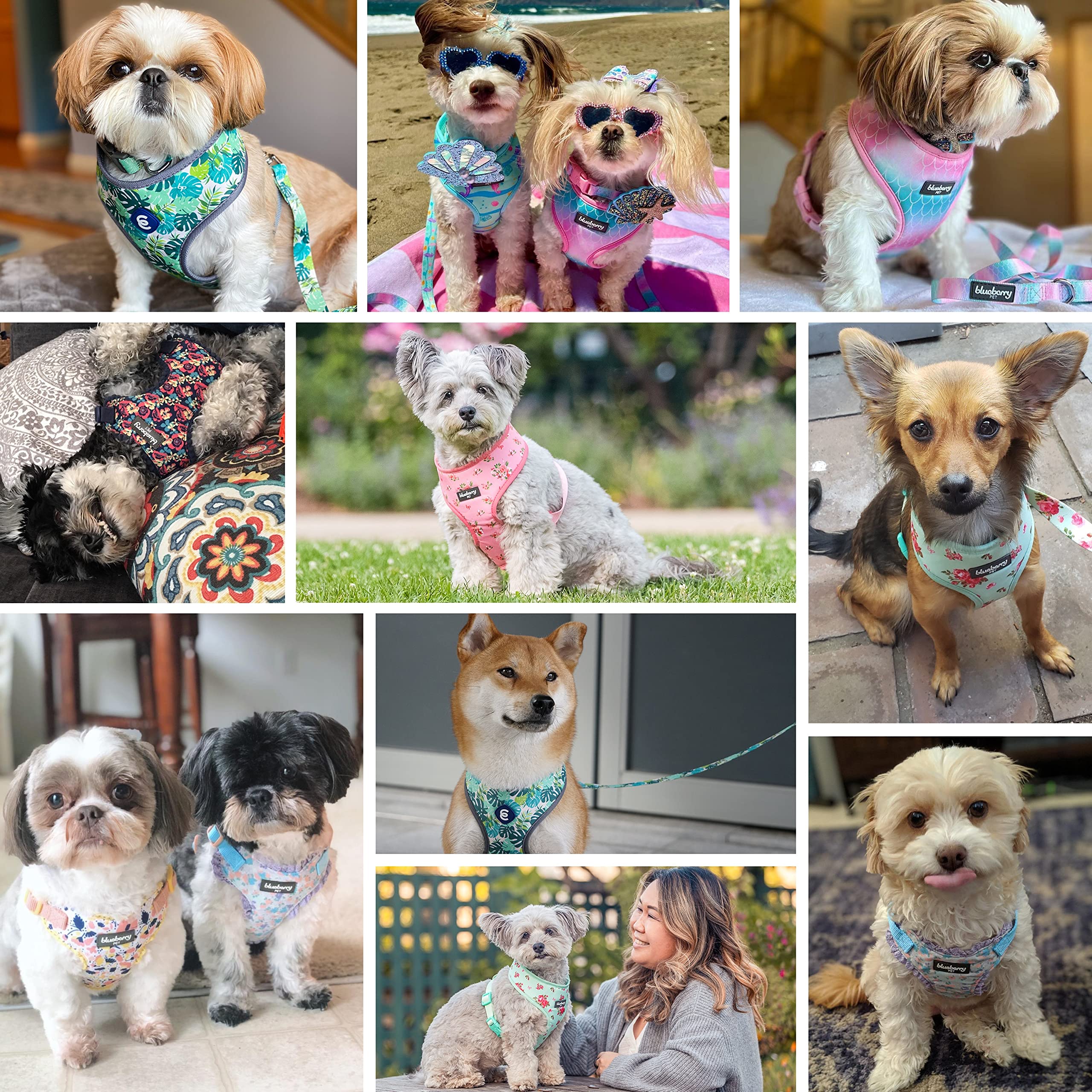 Blueberry Pet Essentials Soft & Comfy Green Camo Print Camouflage Dog Harness Vest - Adjustable Small (16
