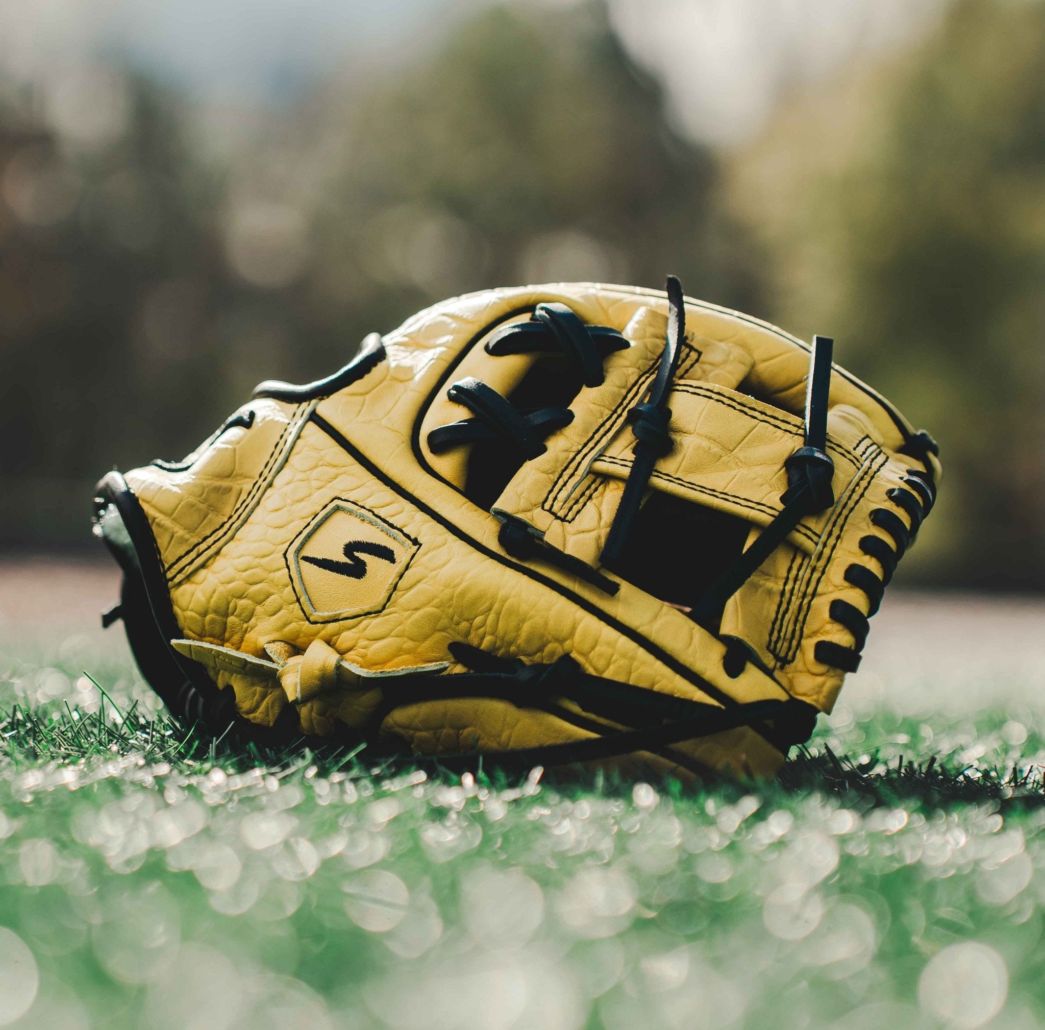 Stinger Yellow Jacket 11.25 Inch Baseball Fielding Glove - Premium Leather Mitt for Youth & Adult Players - Perfect for Infield, Outfield & Practice Sessions