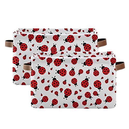 Ladybug