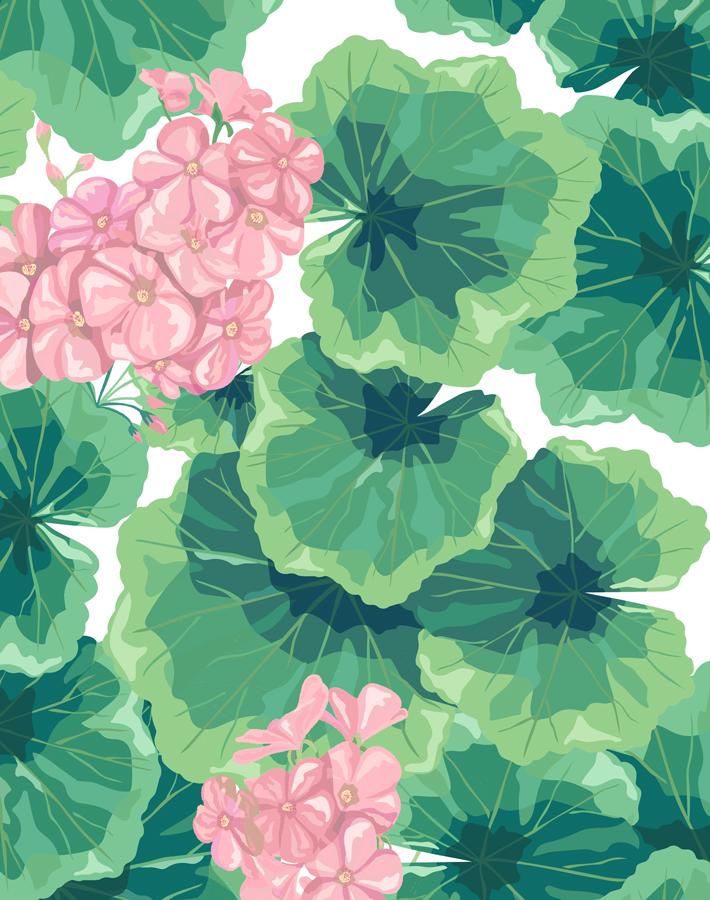 Nathan Turner Pink Geranium Wallpaper - Floral Peel and Stick Wallpaper for Bedroom, Living Room, and Nursery Decor