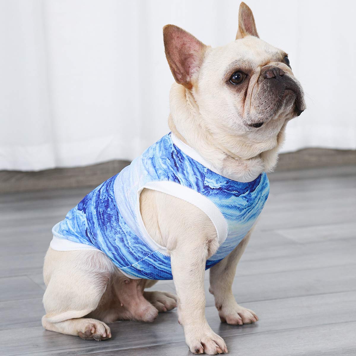Dog Cooling Vest for Summer - Instant Cooling Pet Shirt & Harness for Small Dogs & Puppies (Medium) - Perfect for Outdoor Walks, Hiking & Hot Weather