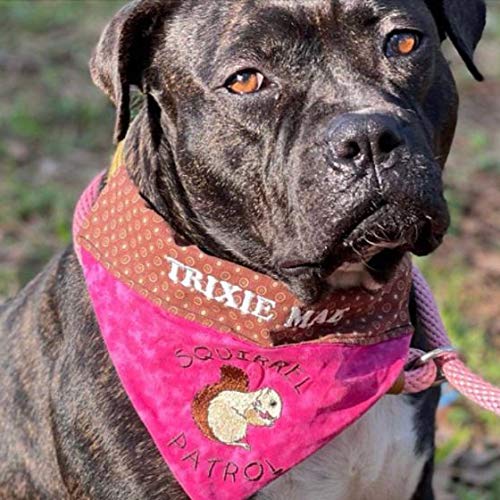 Pink Squirrel Patrol Dog Bandana - Embroidered Personalized Over-the-Collar Pet Bandana for Small Medium Large Dogs - Perfect for Outdoor Adventures, Walks & Pet Photoshoots