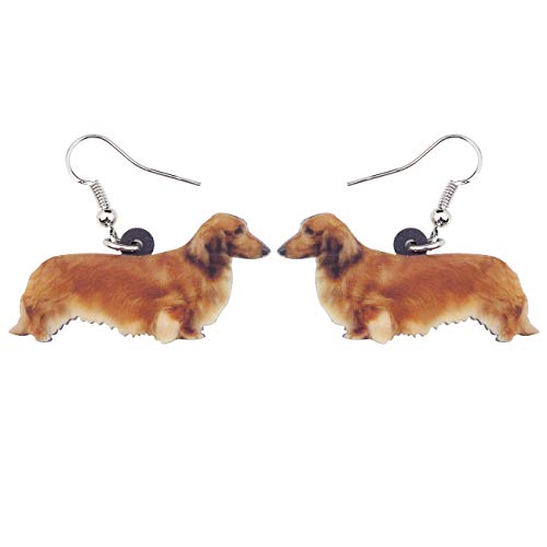 Long haired dachshund