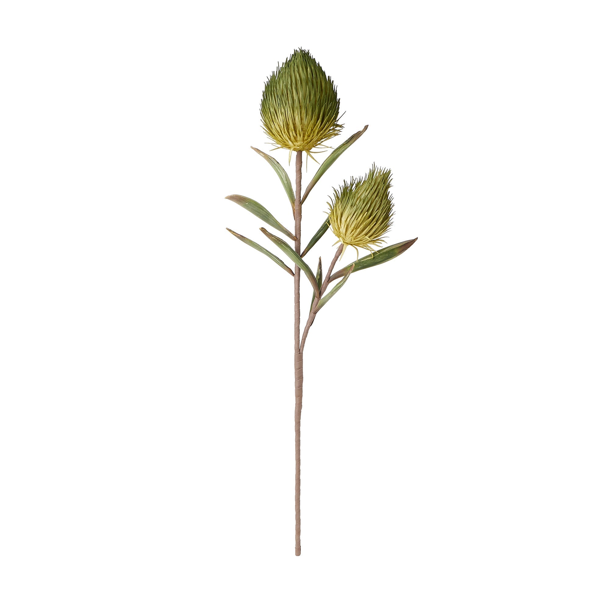 Banksia Artificial Green Plant - Realistic Fake Plant for Home Decor, Office, Wedding, and Party Decoration