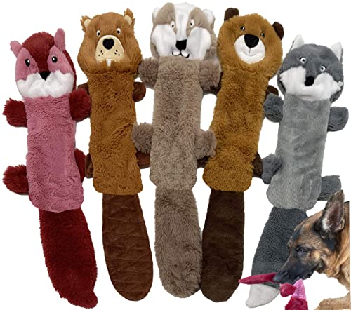 5 Pack - Color 4 - Squeaky