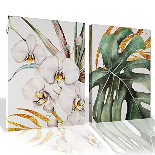 Orchids Canvas
