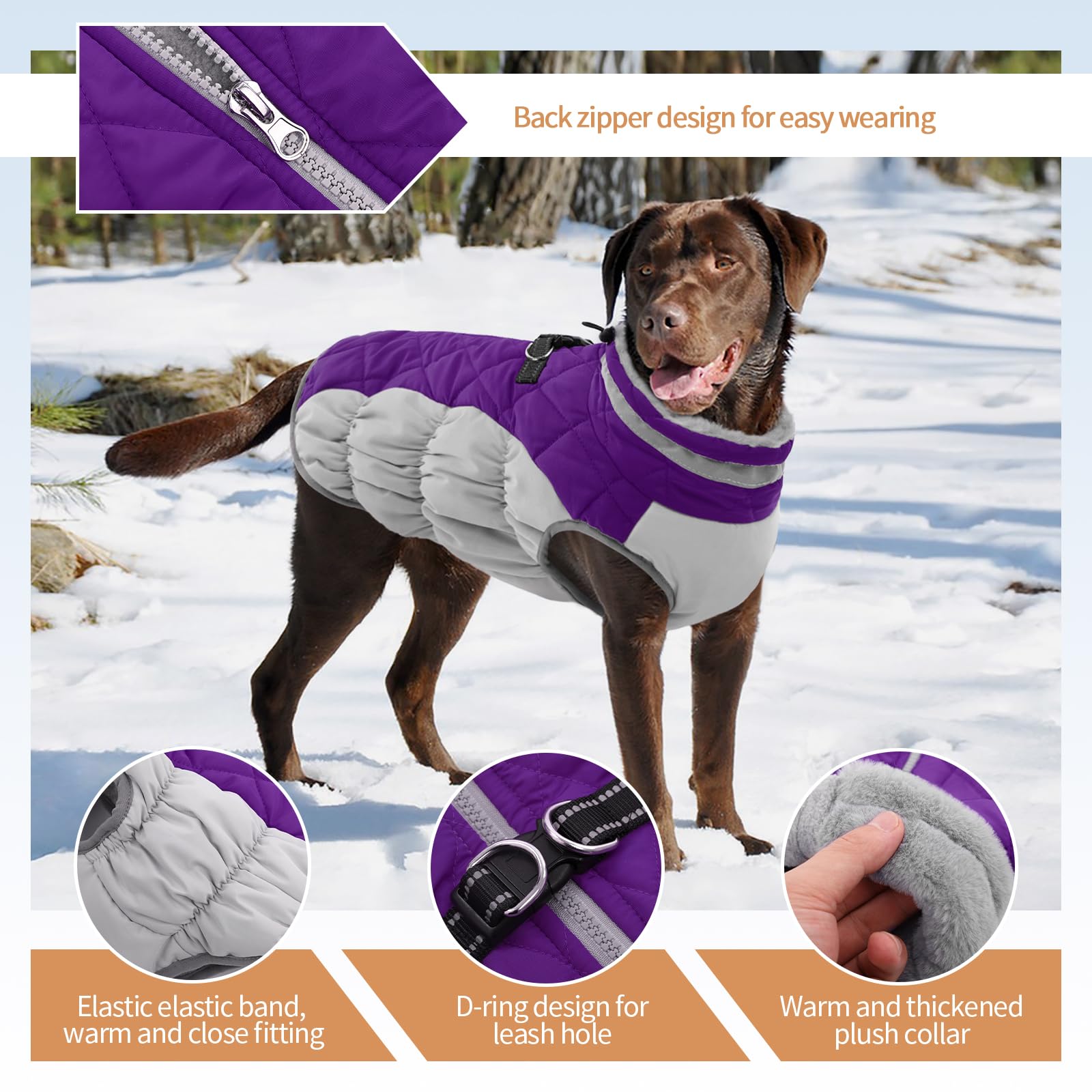 Waterproof Winter Dog Jacket with Back Zipper & Built-in Harness - Warm Fleece Lined Snow Coat for French Bulldog & Shiba Inu - Purple Large Size - Perfect for Cold Weather Walks & Outdoor Adventures