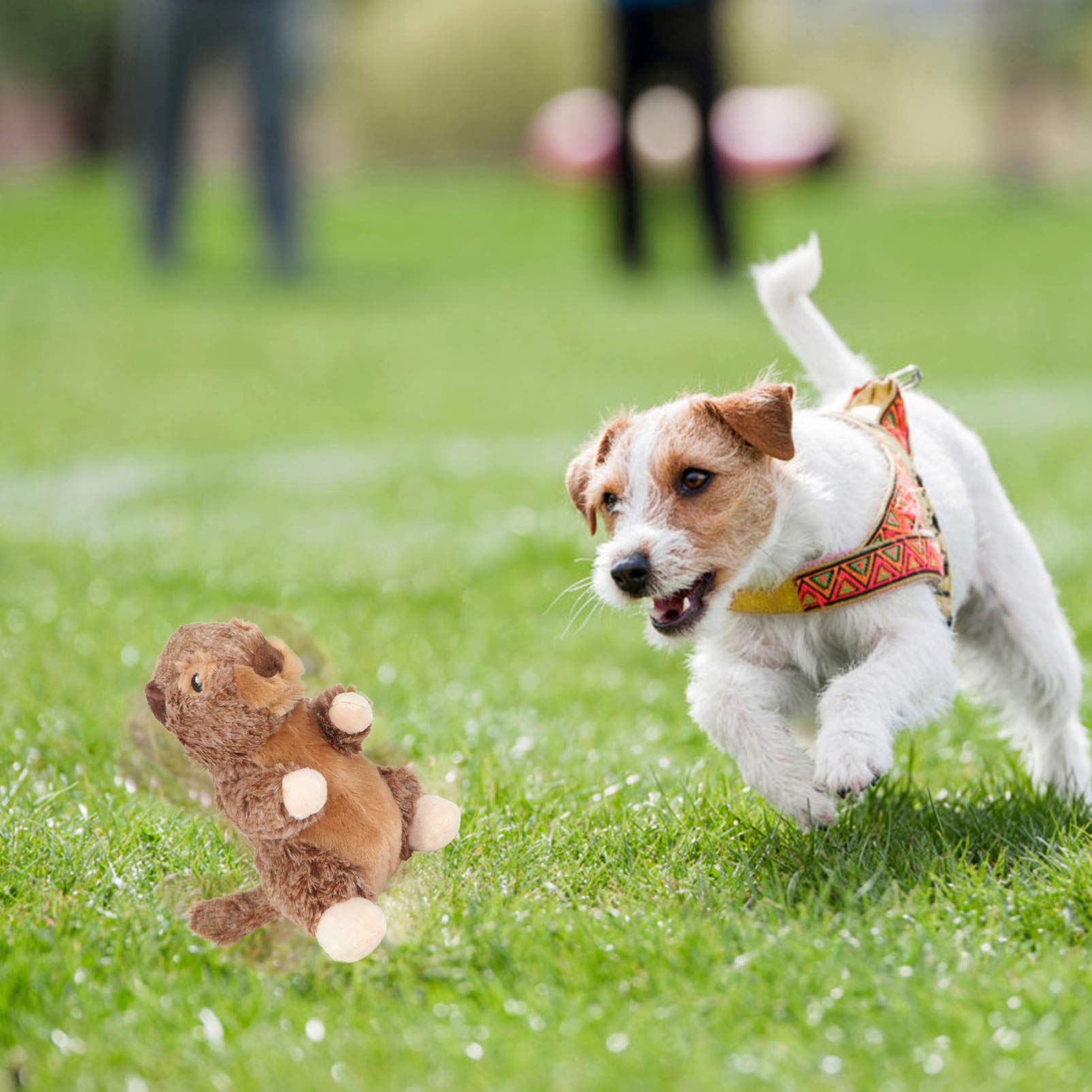 Balacoo Squeaky Plush Dog Toy - 1pc Soft Stuffed Chew Toy for Small Dogs & Puppies, Durable Bite-Resistant Pet Plushie for Teething & Playtime - Perfect for Indoor Play, Training & Cuddling