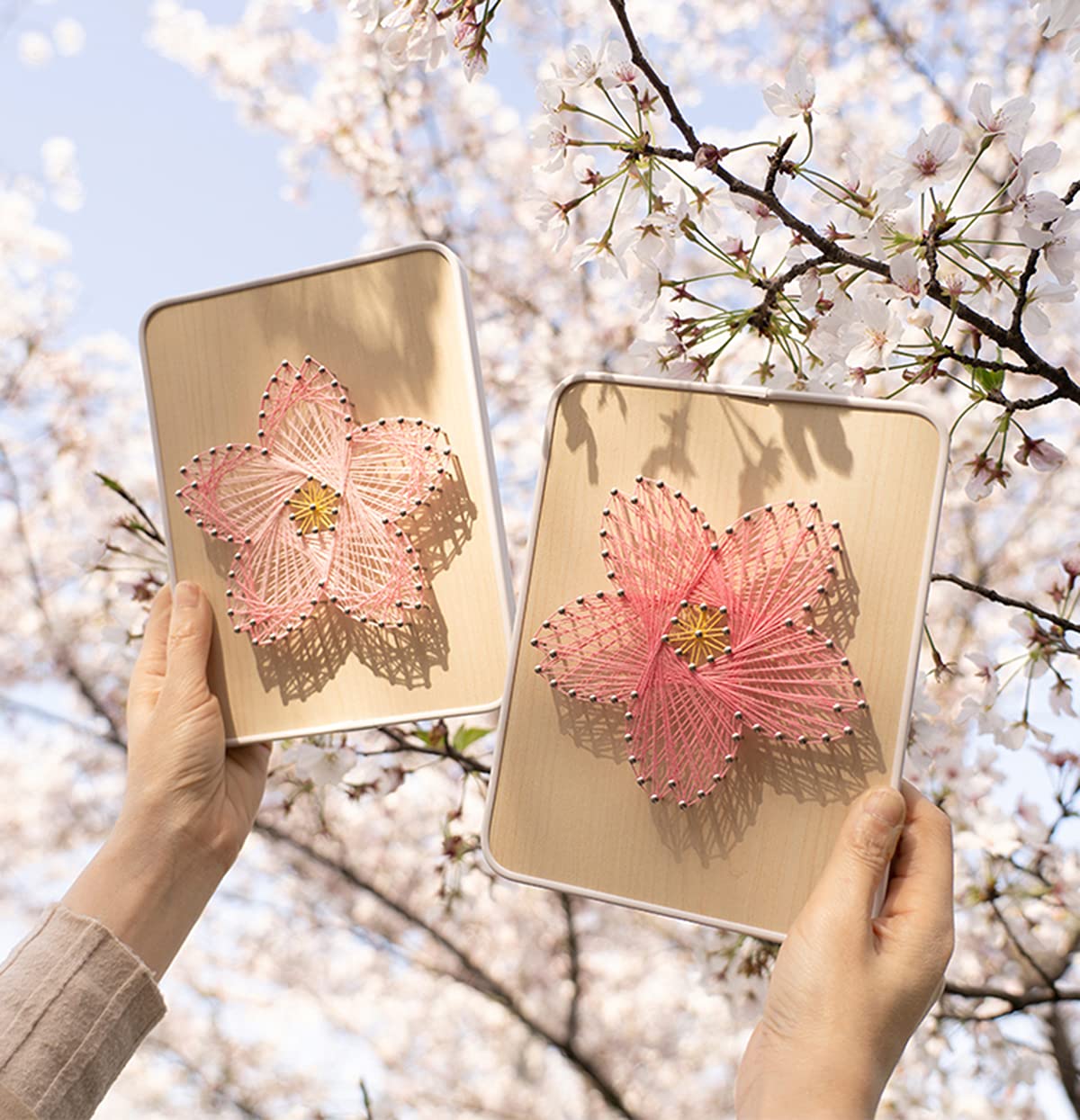 BAZIMA DIY String Art Kit for Beginners - Cherry Blossoms Craft Kit, Unique Gift for Holidays, Birthday, Home Decor & Wall Art