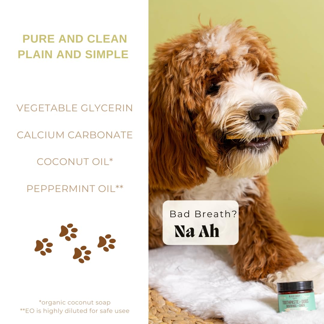 Natural Peppermint Dog Toothpaste with Coconut Oil - Human-Grade Formula for Fresh Breath, Plaque & Tartar Control - Safe Dental Care for Dogs - Perfect for Daily Teeth Cleaning & Oral Hygiene Maintenance