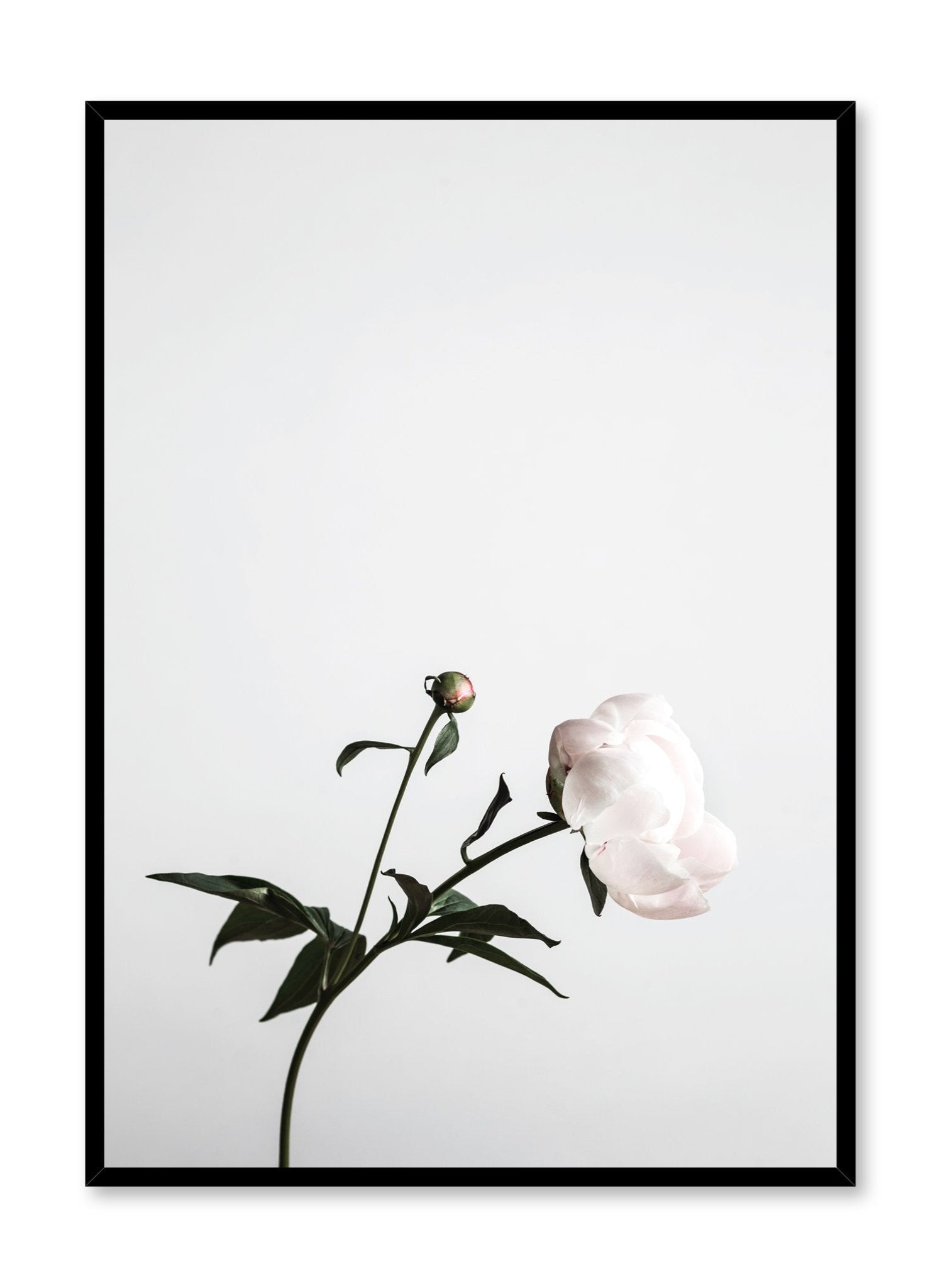 Hope Poster - Inspirational Motivational Wall Art for Home & Office Decor | Perfect for Living Room, Bedroom, or Workspace