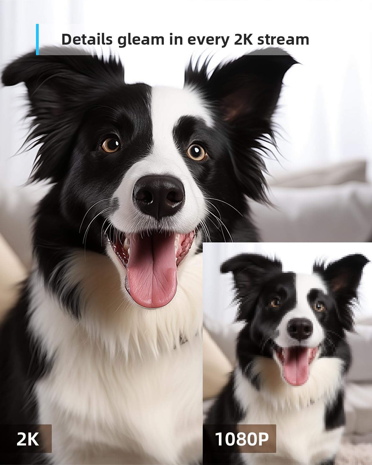 Blurams 2K Pet Camera with Night Vision & Motion Tracking - 360° Indoor Security Camera for Dogs, 2-Way Audio, Cloud/SD Storage, Alexa Compatible - Perfect for Home Monitoring & Pet Care
