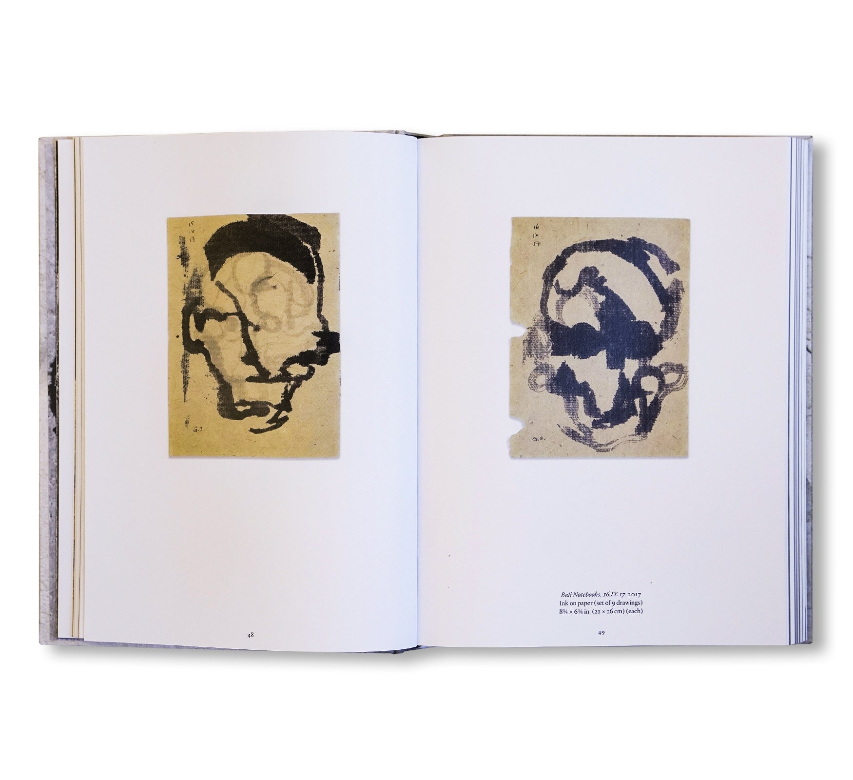 AN ISLAND IS A CIRCLE by Gabriel Orozco - Contemporary Art Book for Collectors & Enthusiasts - Perfect for Home Decor & Art Studies