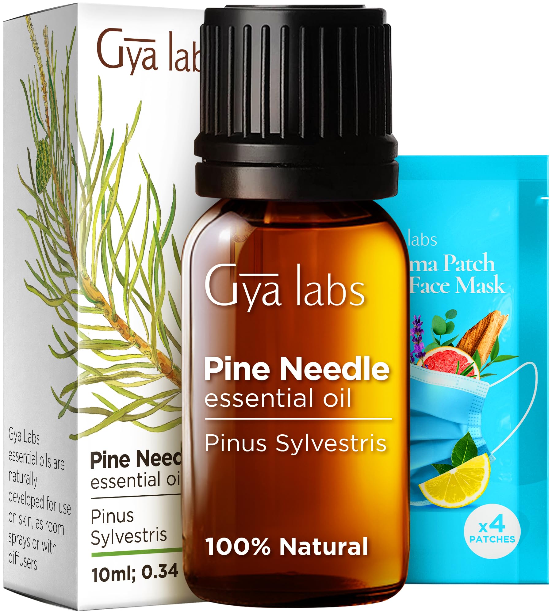 Gya Labs 100% Pure Pine Essential Oil - 0.34 Fl Oz Natural Pine Oil for Diffusers, Aromatherapy, Skin Care & Massage - Fresh Woodsy Scent for Relaxation, Stress Relief & Home Fragrance