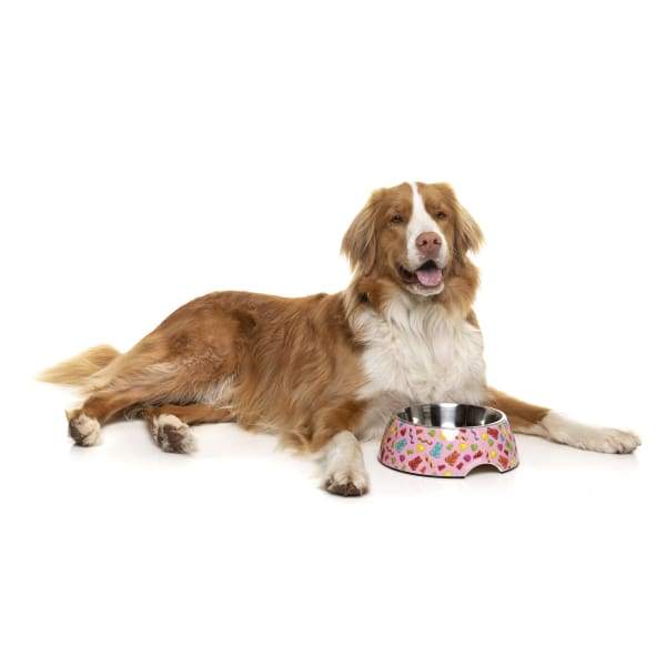 Fuzzyard Jelly Bears Non-Slip Slow Feeder Dog Bowl - Small, Medium, Large - Perfect for Fast Eaters & Puppy Training - Great for Mealtime Fun & Portion Control