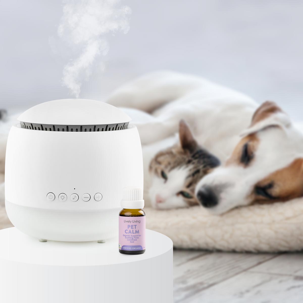 Anxiety Relief Bundle for Dogs & Cats - Calming Chews, Soothing Spray & Comfort Blanket - Perfect for Thunderstorms, Travel & Separation Anxiety