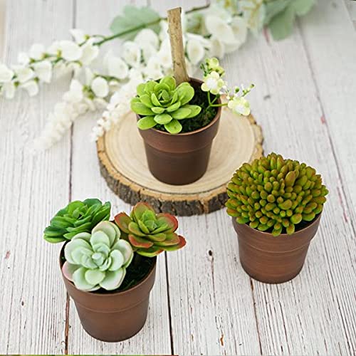 3 Packs Mini Plastic Succulent Plant Nursery Pots - 3