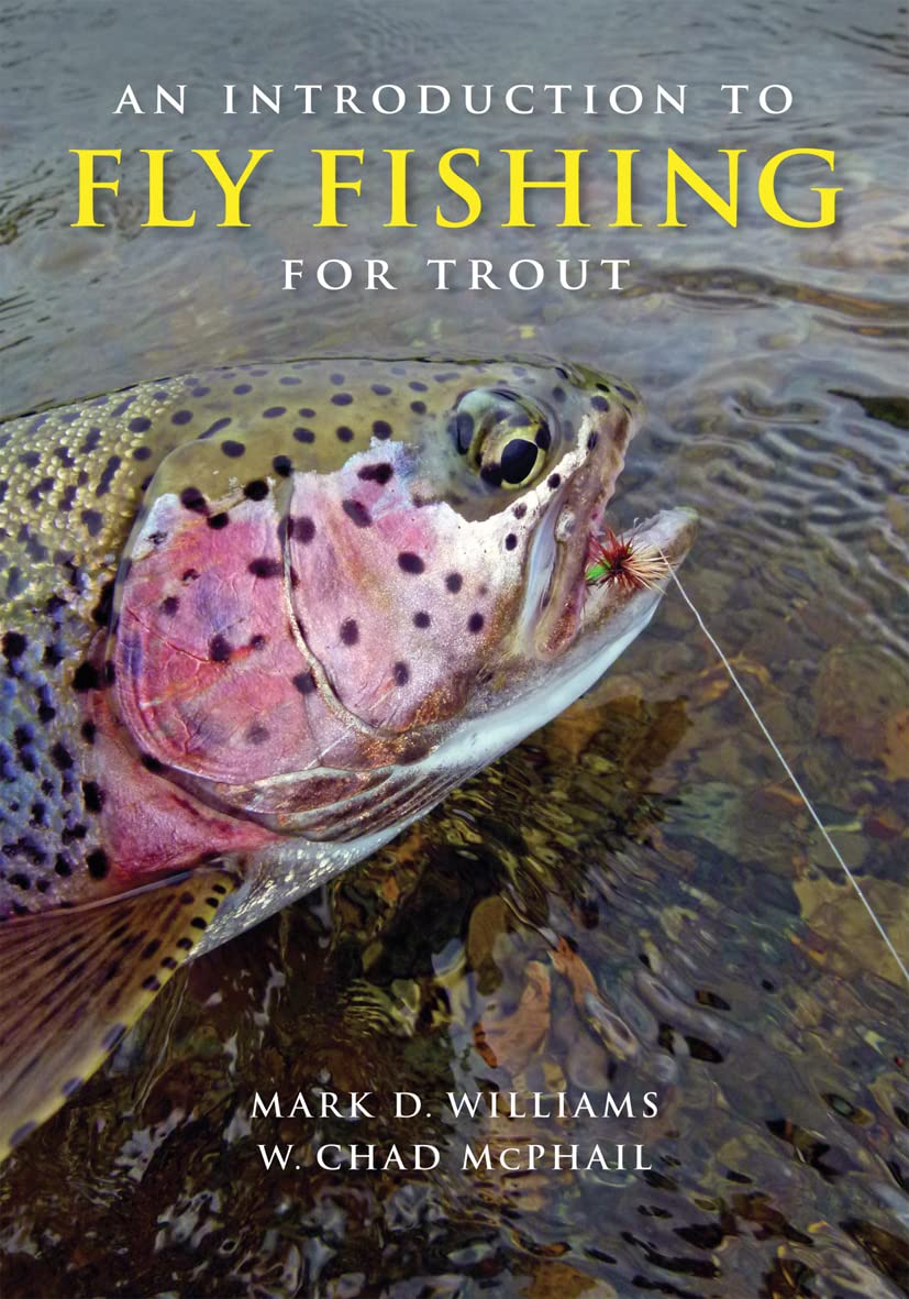 Fly Fishing for Trout: Complete Beginner's Guide with Essential Tips & Techniques | Perfect for Streams, Rivers & Lakes