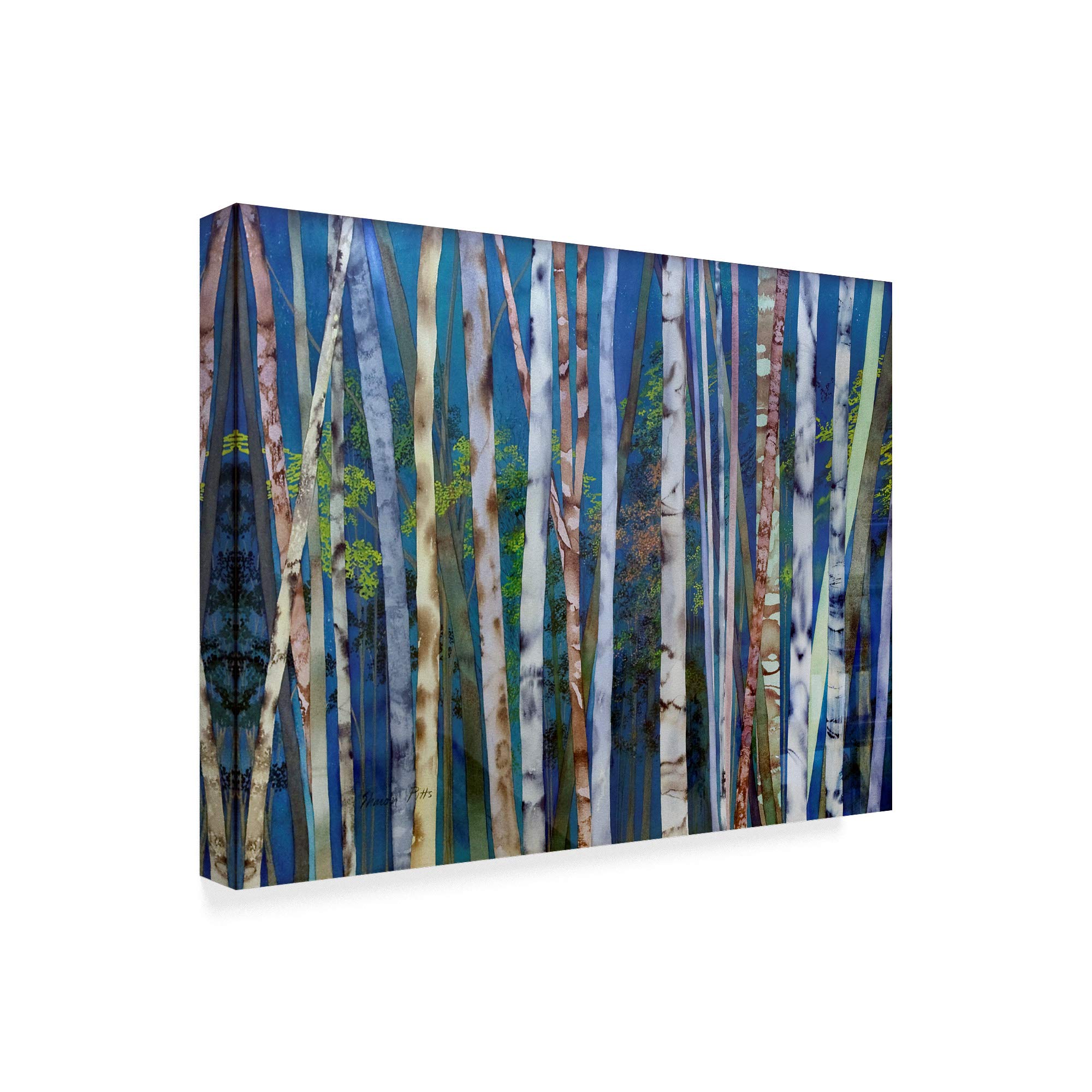 Trademark Fine Art 35x47 Inch Mystery of Trees Birches by Sharon Pitts - Stunning Landscape Wall Art for Living Room, Bedroom & Office Decor