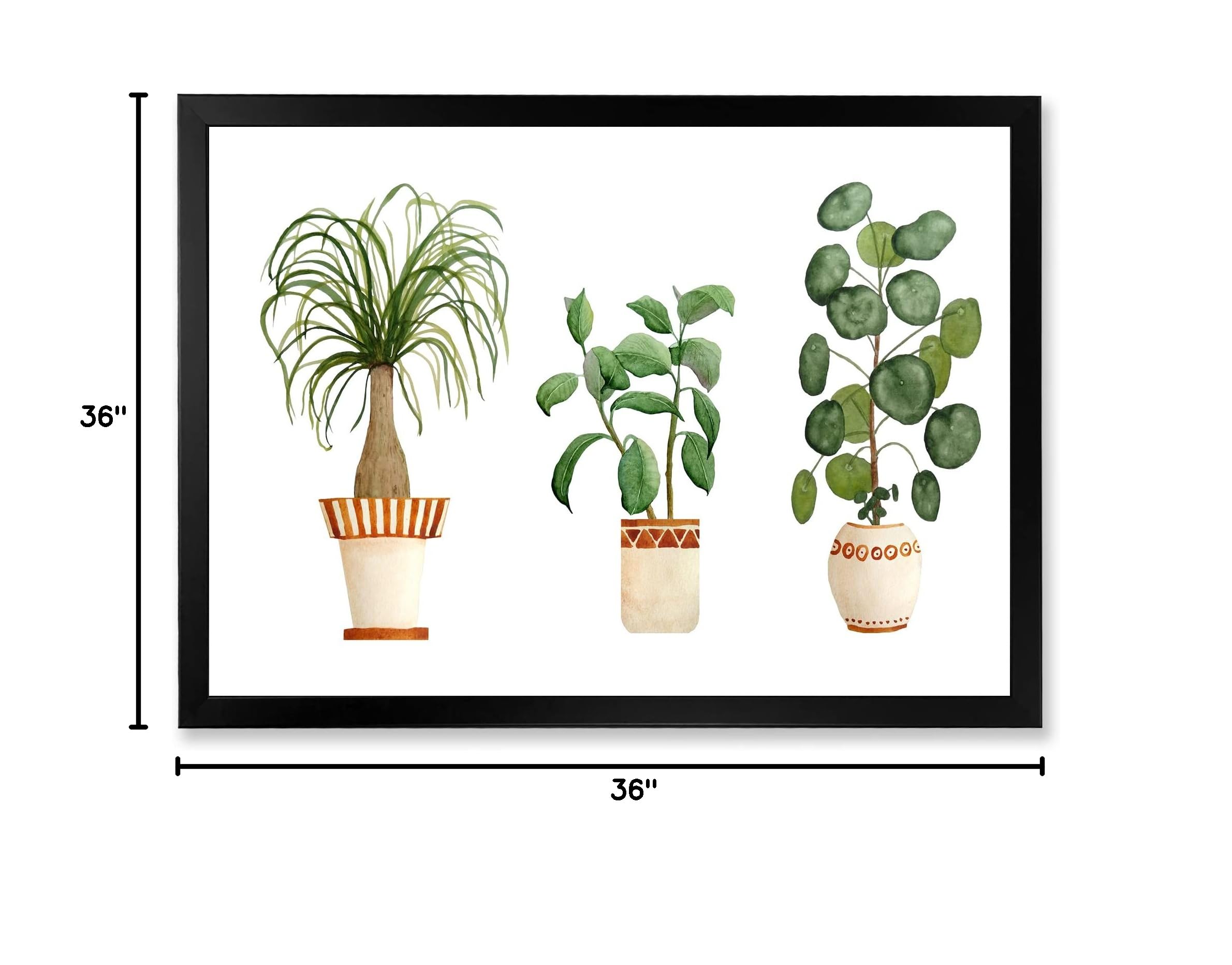 Trio of House Plants - Ponytail Palm & Ficus Traditional Framed Wall Art | Home & Office Decor | Perfect for Living Room, Bedroom & Office Spaces
