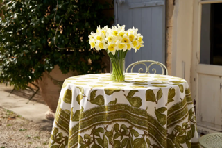 Premium French Tablecloth - Couleur Nature Orchard Pear Green - Elegant Dining Decor for Weddings, Parties & Home Decor