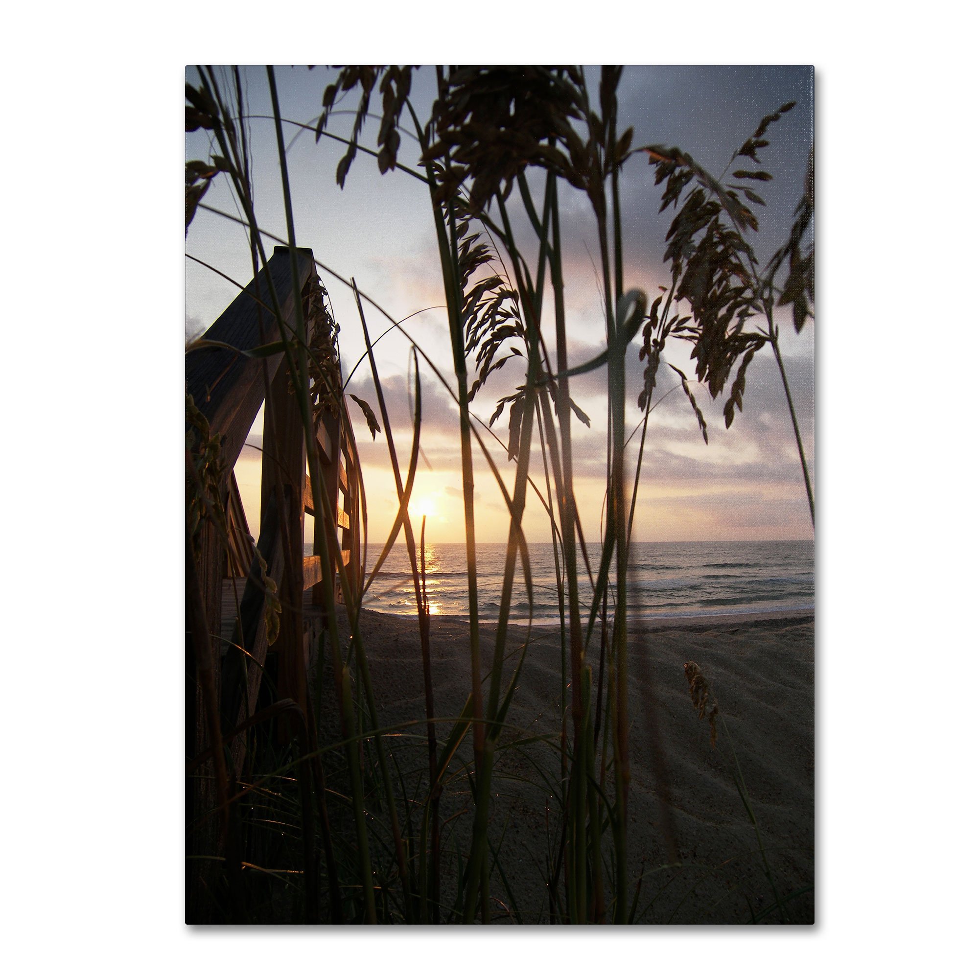 Monica Fleet Hidden Life Canvas Art - 35x47 Inch Modern Wall Decor for Living Room, Bedroom & Office | Trademark Fine Art